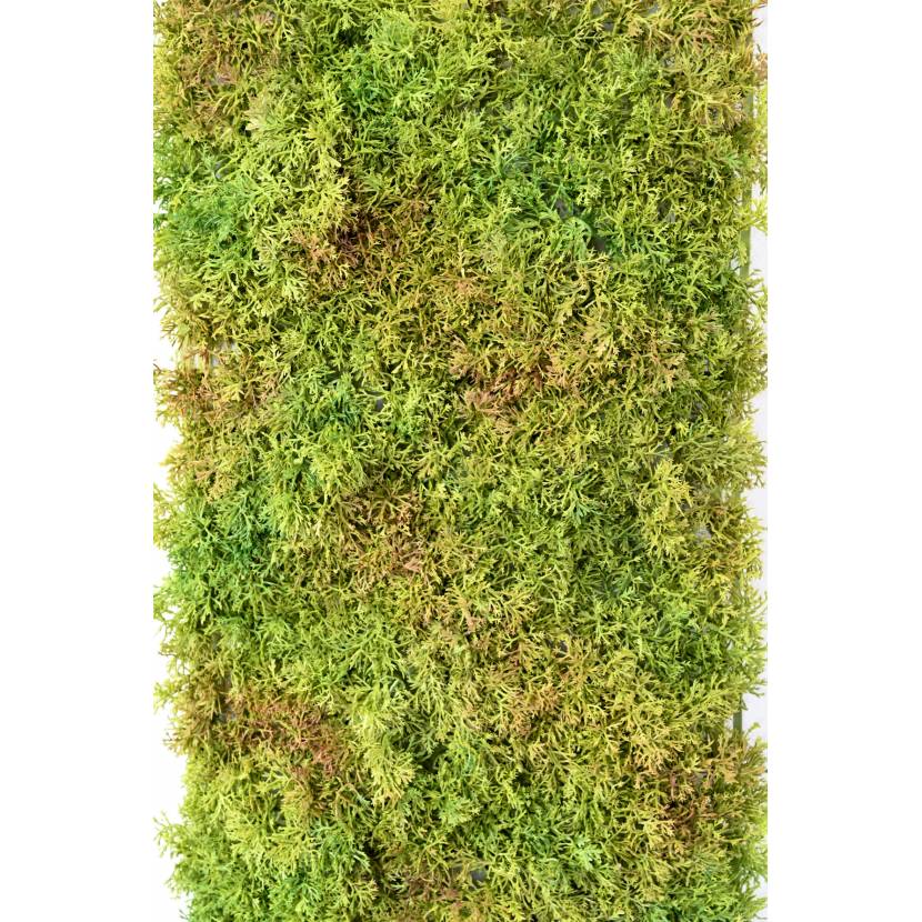 [1431] ARTIFICIEL PLAQUE MOUSSE 50X25 (26146-UV71)
