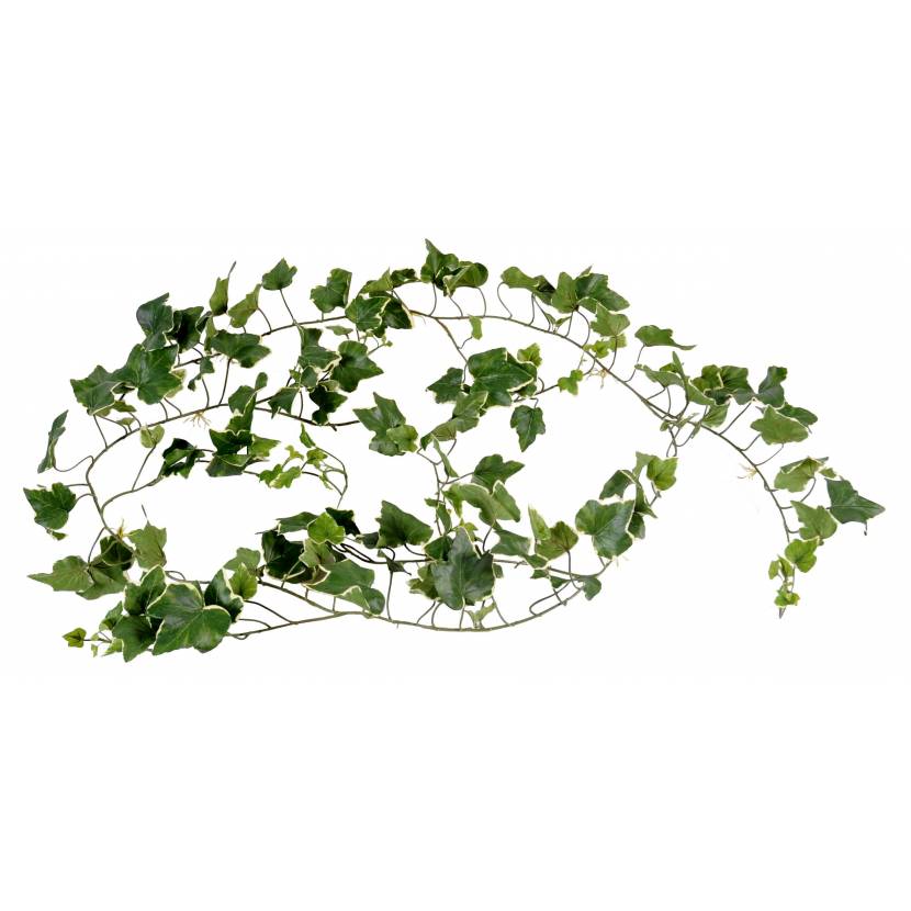 [1404] ARTIFICIEL LIERRE VERT-BLANC GUIRLANDE 2M