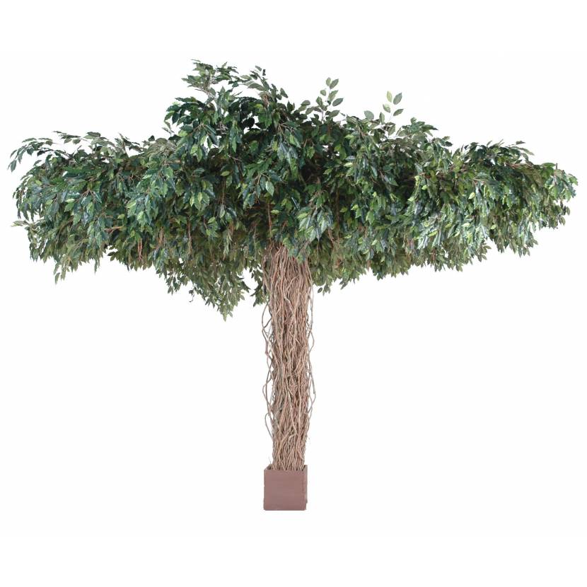 [1366] ARTIFICIEL FICUS UMBRELLA 320CM