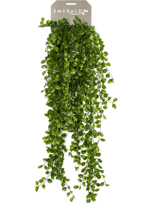 [1364] ARTIFICIEL FICUS PUMILA 80CM