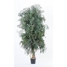 ARBRE STABILISÉ - NICOLY