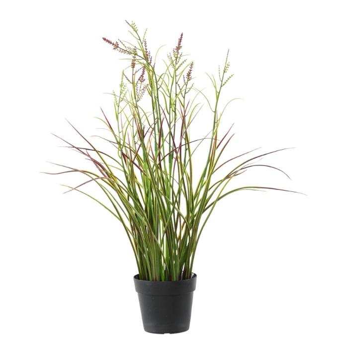 ARTIFICIEL ACORUS FLEURI VIOLET EN POT H45