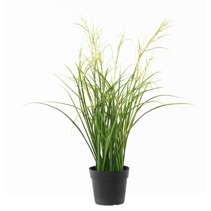 [1286] ARTIFICIEL ACORUS FLEURI BLANC H45