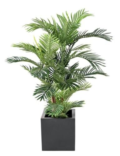ARTIFICIEL ARECA H150