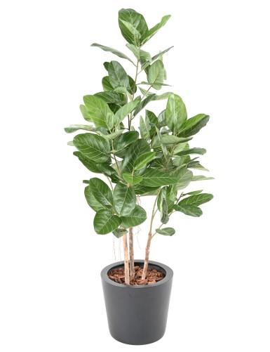 [1356] ARTIFICIEL FICUS AUDREY H150