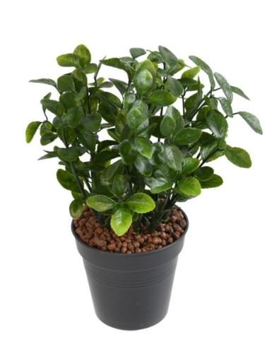 ARTIFICIEL BERBERIS 28CM