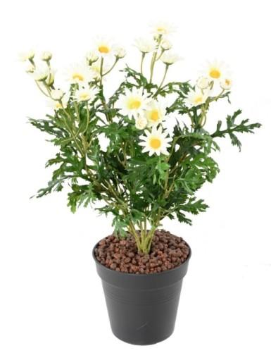 [1407] ARTIFICIEL MARGUERITE ANTHEMIS 40CM