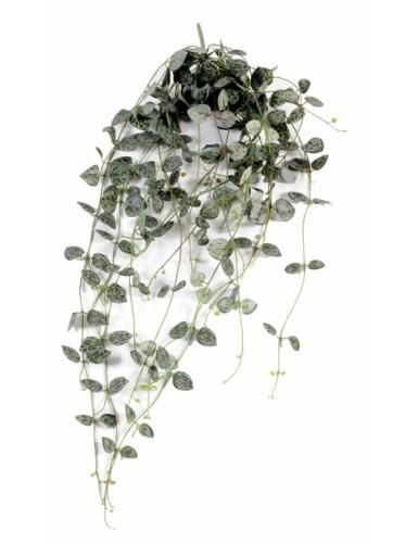 [1333] ARTIFICIEL CEROPEGIA CHUTE 60CM