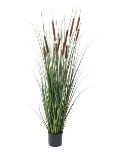 [1328] ARTIFICIEL CATTAIL H150