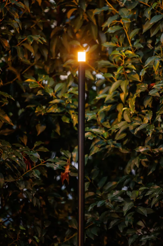 [1881] BORNE LUMINEUSE ERBA MEDIUM (223P)