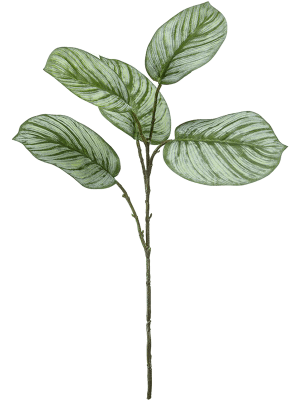 ARTIFICIEL CALATHEA 70 CM