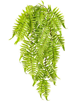 ARTIFICIEL FERN CINNAMON 60 CM