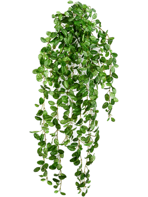 [1367] ARTIFICIEL FITTONIA 85 CM